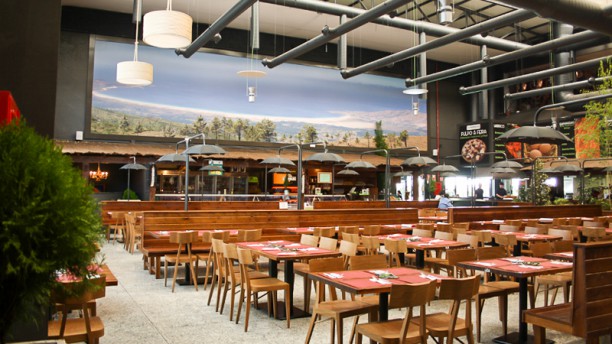 Pazoteca en Alcorcón