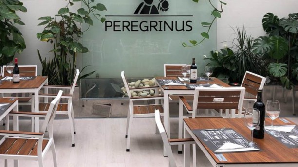 Peregrinus Pontevedra en Pontevedra