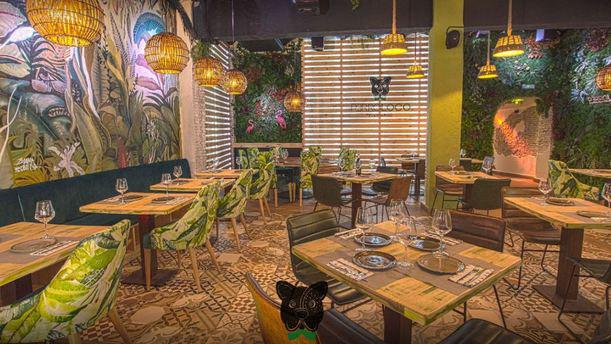 Perroloco FoodxBar en Málaga
