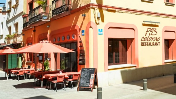 Pez Colorao en Lloret De Mar