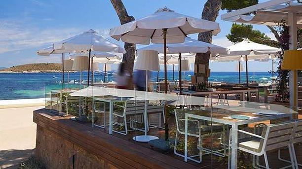 Pez Playa Mallorca en Magaluf