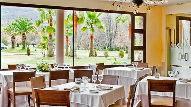 Piconegro - Hotel Balneario Valle del Jerte en Valdastillas