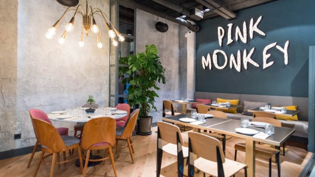 Pink Monkey en Madrid