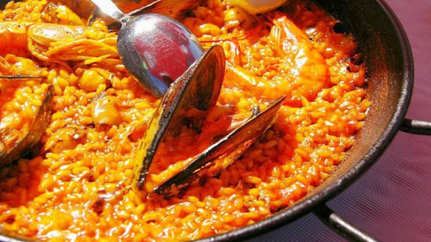 Planta Azul en El Palmar