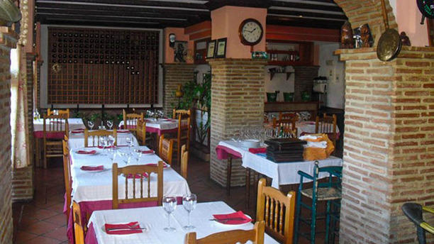 Rafa en San Pedro Alcántara