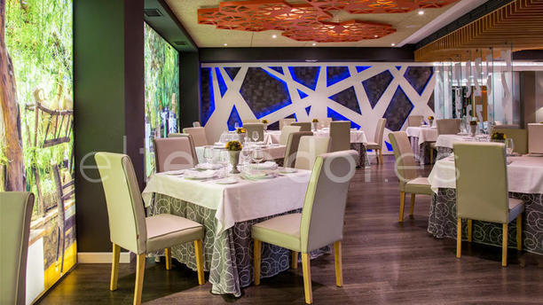 Raza 7 – Hotel Senator Diana en Madrid