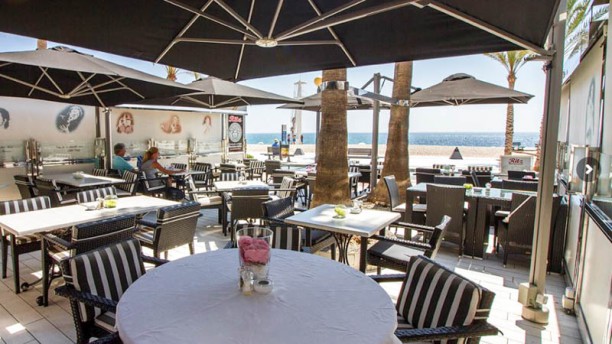 Ritz Albir en l'Alfàs del Pi - Playa del Albir