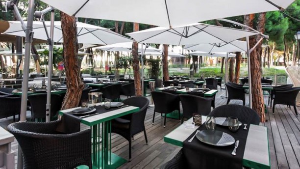 Romano en Alcobendas