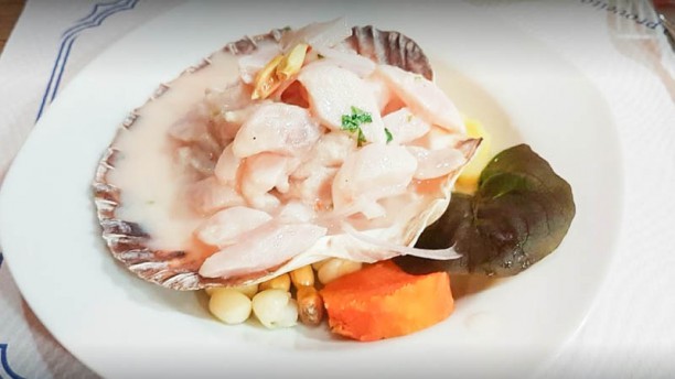 Rosa de Alejandría en L'Hospitalet de Llobregat