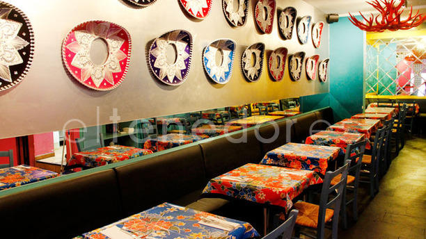 Rosa Negra Madrid en Madrid