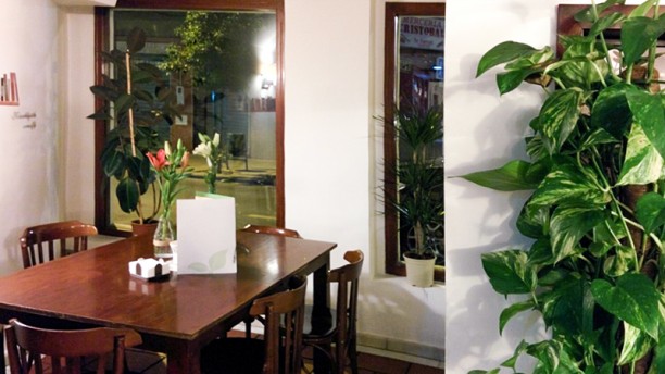 Sabor & Saveur en Granada