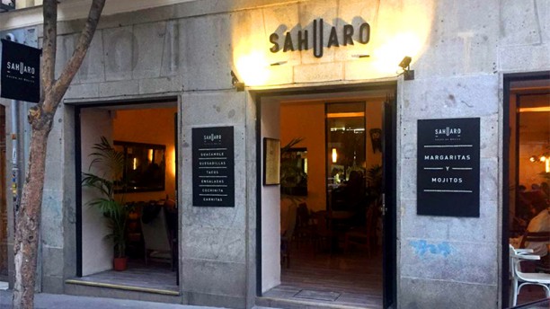 Sahuaro en Madrid