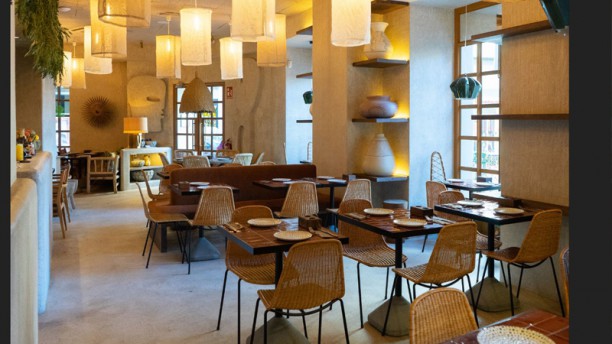 Santita Carbón Mexicano - Fuencarral en Madrid