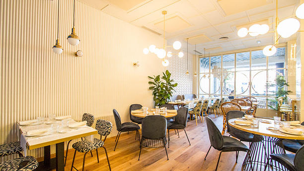 Sargo Madrid en Madrid