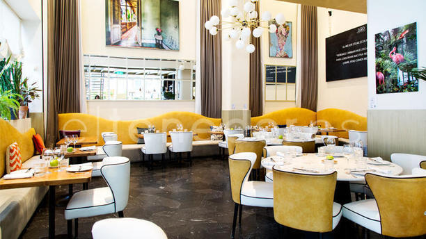 SQD Meat Point en Madrid