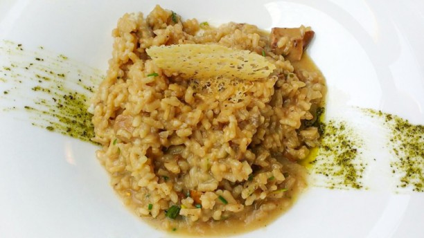 Sugarri en Hondarribia