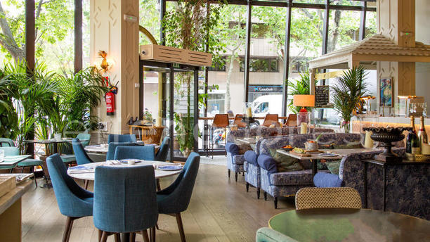 Sushita Café - Miguel Ángel en Madrid