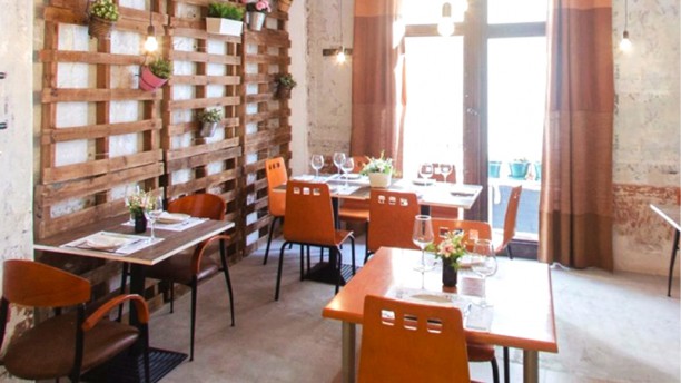 Taberna Kubaba en Xàtiva