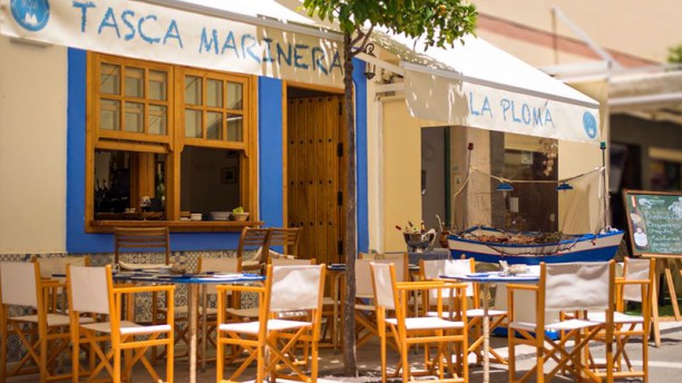 Taberna Marinera La Ploma de Carmen en Estepona