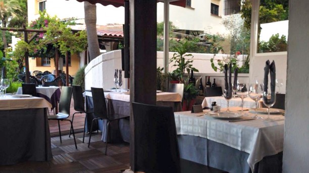 Teo en Marbella