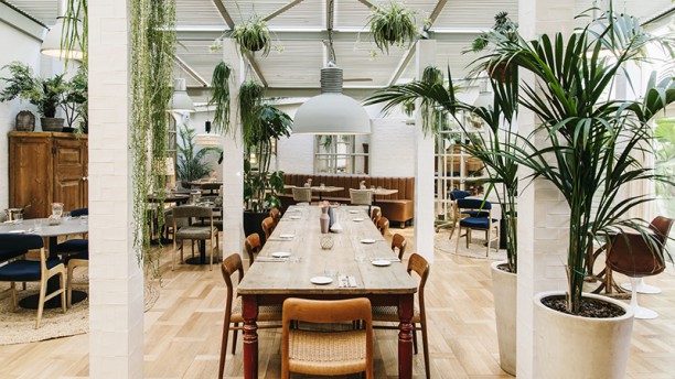 The Greenhouse - Hotel Pulitzer en Barcelona