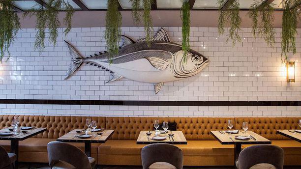 The Tuna house en Madrid