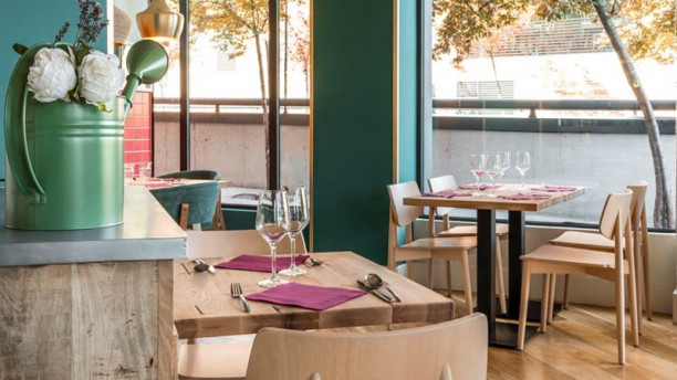 Toma Tomate - Montecarmelo en Madrid