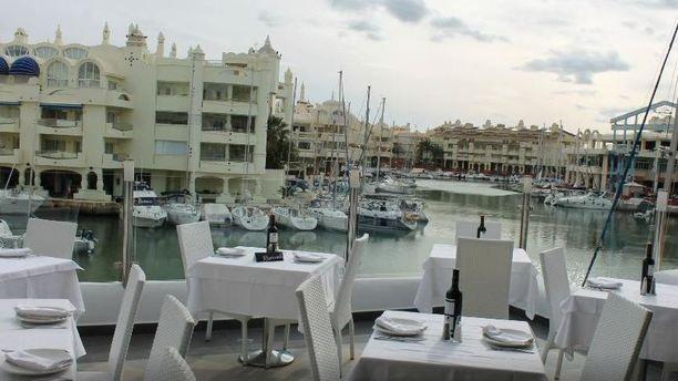 Toro en Benalmadena