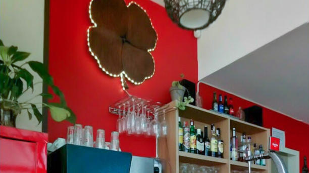 Trèvol en Sant Cugat del Vallés
