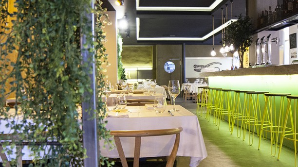 Troquel en Madrid