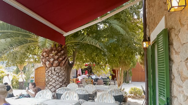 Troya en Valldemossa