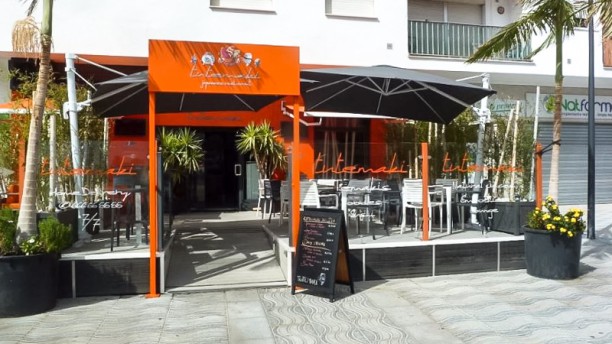 Tutemaki en San Pedro Alcántara