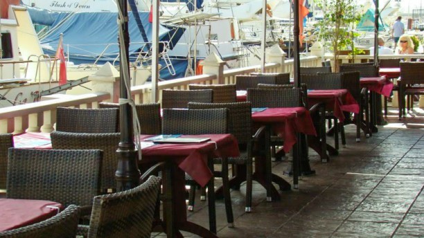 Veni Vidi Vici en Torrevieja