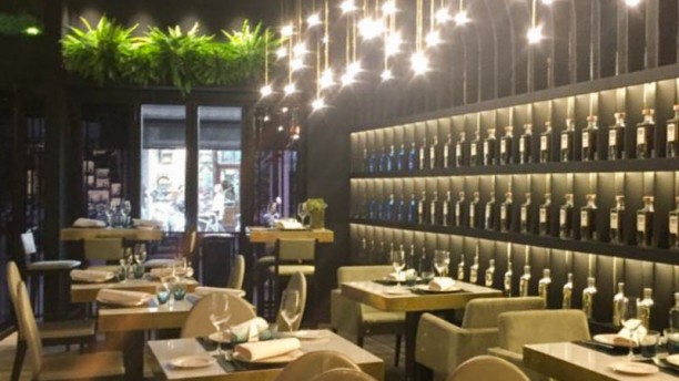 Vicentino en Valencia