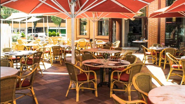 Wild Ibiza Restaurant en Ibiza