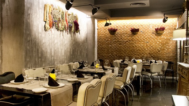 Zampa, Late Dinner en Madrid