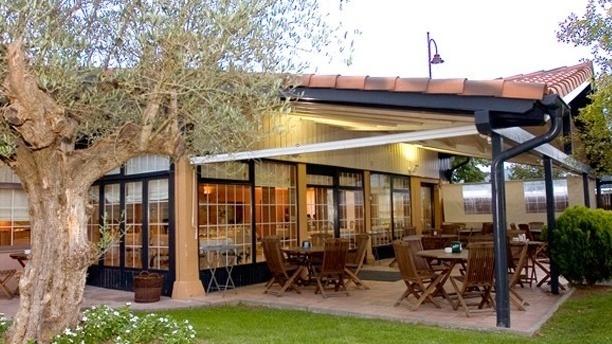 Zimela en Gernika-Lumo