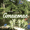 Amazonas en Valencia