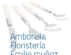 Amborella Floristería Emilio muñoz en Madrid