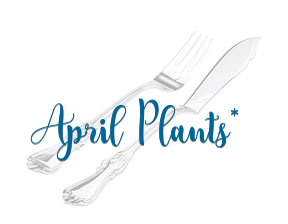 April Plants* en Sant Adrià de Besòs