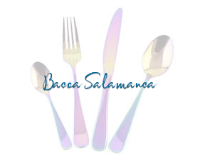Bacoa Salamanca en Salamanca