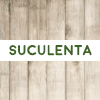Suculenta en Badajoz