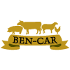 Ben-Car B 2.0* en Boadilla del Monte