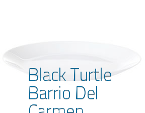 The Black Turtle Barrio Del Carmen en Valencia