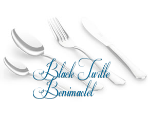Black Turtle Benimaclet en Valencia