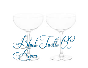 The Black Turtle CC Arena en Valencia