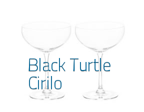 The Black Turtle Cirilo en Valencia