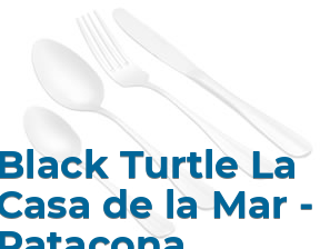 Black Turtle La Casa de la Mar - Patacona* en AlboraiaAlboraya