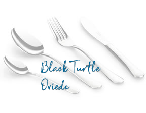 The Black Turtle Oviedo en Oviedo