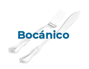 Bocánico en Las Rozas De Madrid